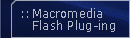 Macromedia Flahs Plug-ing